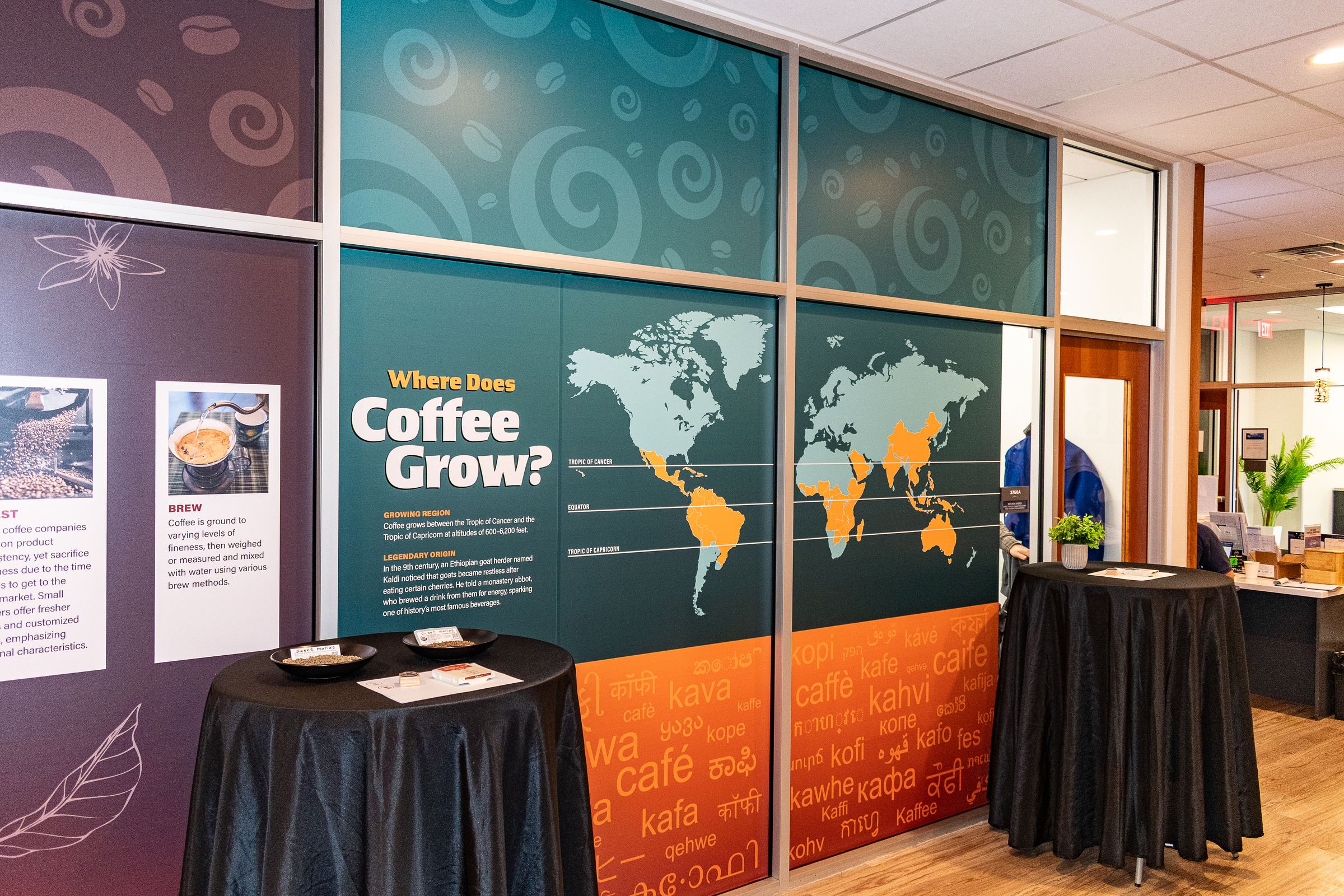 All three Brewseum exhibition walls